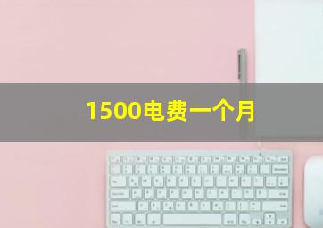 1500电费一个月