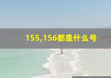 155,156都是什么号