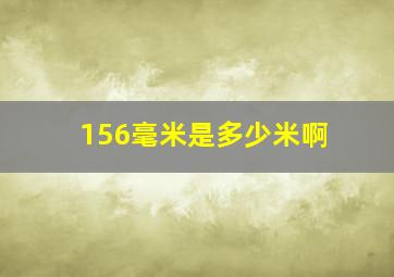 156毫米是多少米啊