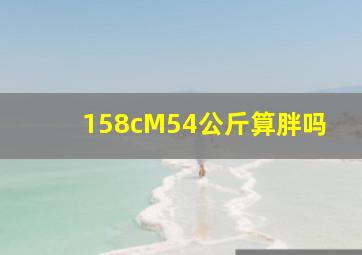 158cM54公斤算胖吗