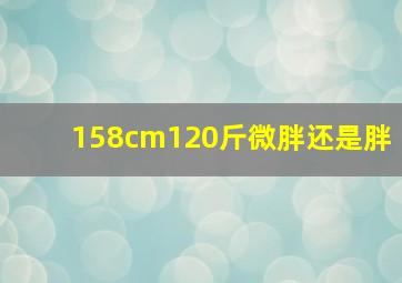 158cm120斤微胖还是胖