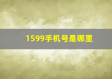 1599手机号是哪里