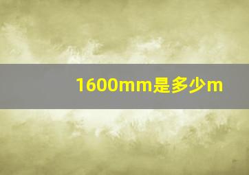 1600mm是多少m