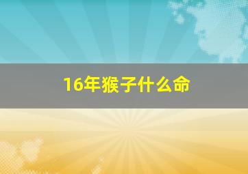 16年猴子什么命