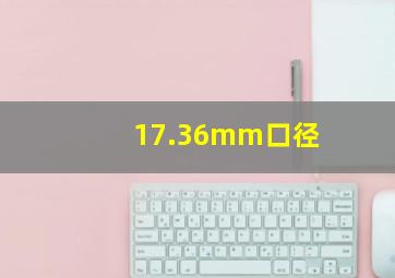 17.36mm口径