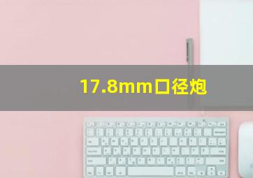 17.8mm口径炮