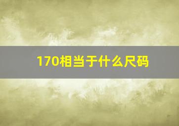 170相当于什么尺码