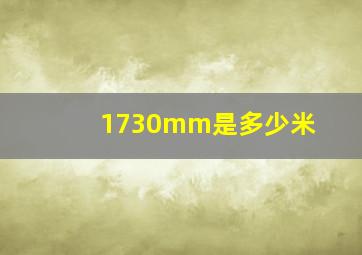 1730mm是多少米