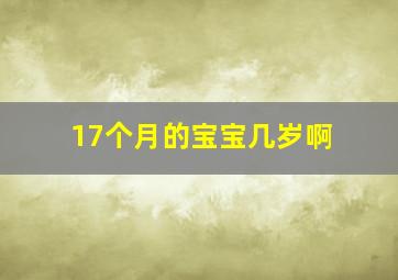 17个月的宝宝几岁啊