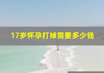 17岁怀孕打掉需要多少钱