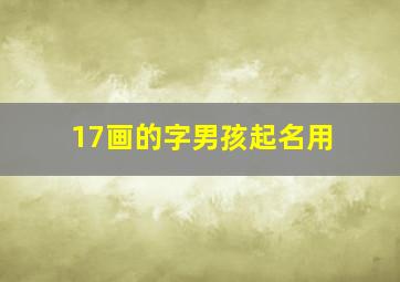 17画的字男孩起名用