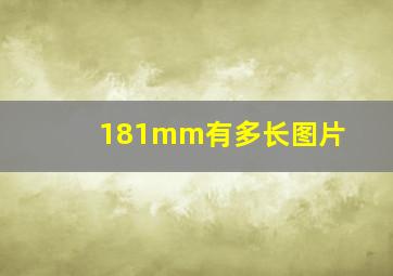 181mm有多长图片