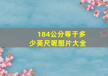 184公分等于多少英尺呢图片大全