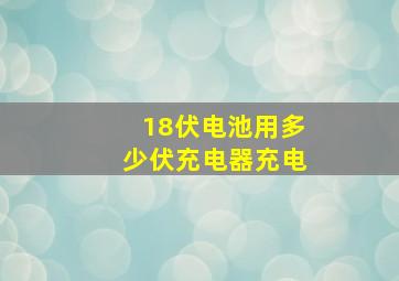 18伏电池用多少伏充电器充电