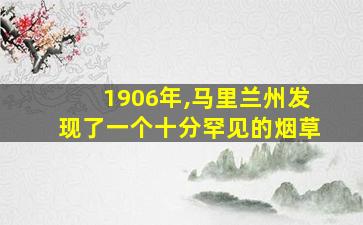 1906年,马里兰州发现了一个十分罕见的烟草