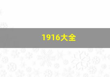 1916大全