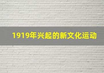 1919年兴起的新文化运动