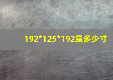 192*125*192是多少寸