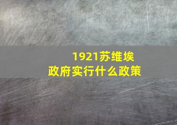 1921苏维埃政府实行什么政策