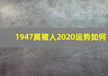 1947属猪人2020运势如何