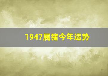 1947属猪今年运势