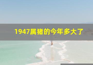 1947属猪的今年多大了