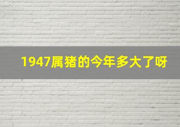 1947属猪的今年多大了呀