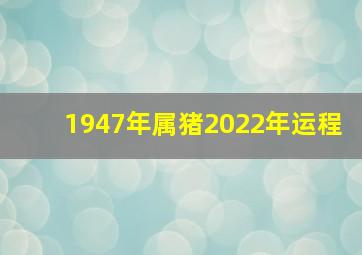 1947年属猪2022年运程