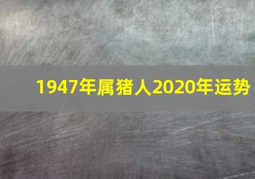 1947年属猪人2020年运势