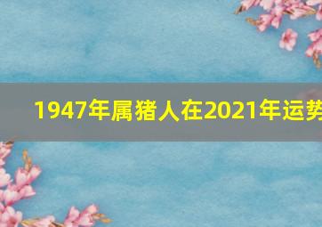 1947年属猪人在2021年运势