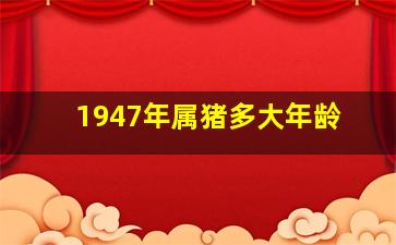 1947年属猪多大年龄