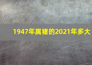 1947年属猪的2021年多大