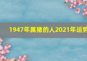 1947年属猪的人2021年运势