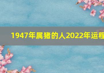 1947年属猪的人2022年运程