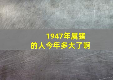 1947年属猪的人今年多大了啊