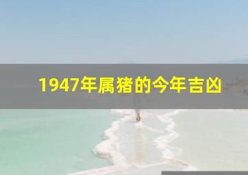 1947年属猪的今年吉凶