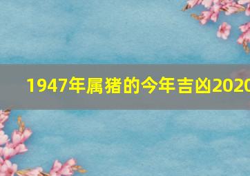 1947年属猪的今年吉凶2020