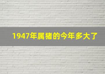 1947年属猪的今年多大了