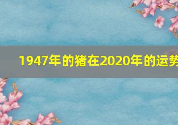 1947年的猪在2020年的运势