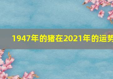 1947年的猪在2021年的运势