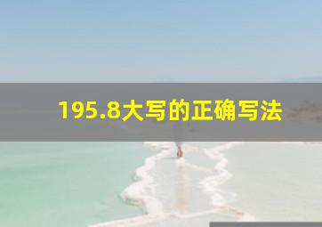 195.8大写的正确写法