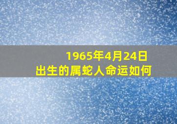 1965年4月24日出生的属蛇人命运如何