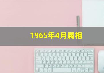 1965年4月属相