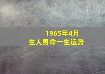 1965年4月生人男命一生运势