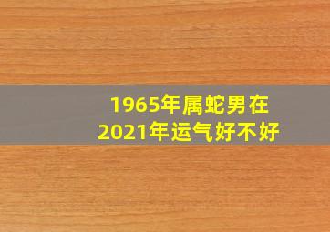 1965年属蛇男在2021年运气好不好