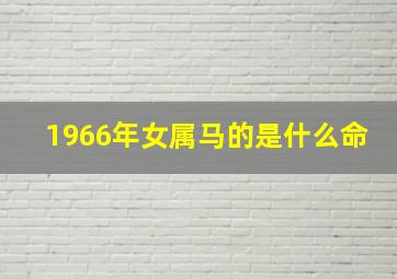 1966年女属马的是什么命