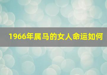 1966年属马的女人命运如何