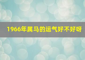 1966年属马的运气好不好呀