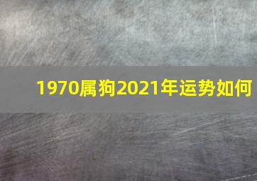 1970属狗2021年运势如何