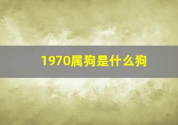 1970属狗是什么狗